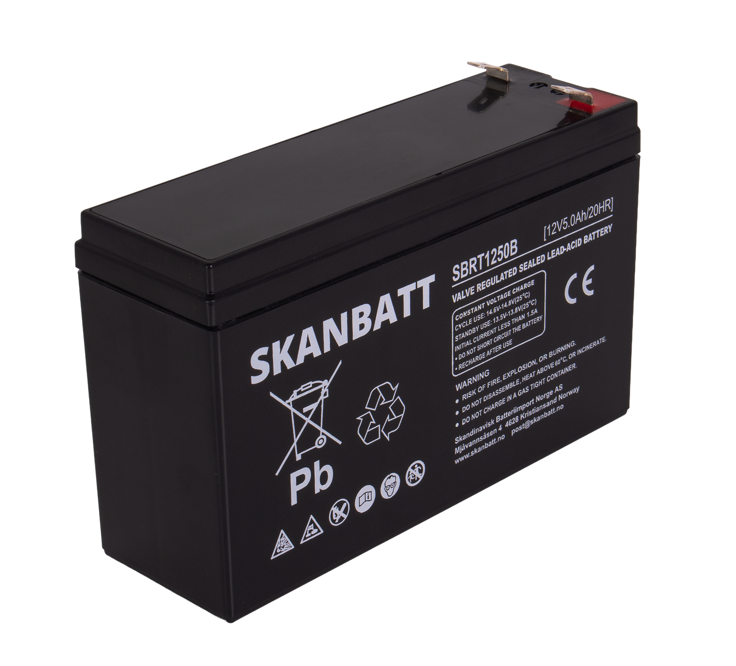RITAR AGM Batteri 12V 5AH (150x50x100mm) (RT1250B)
