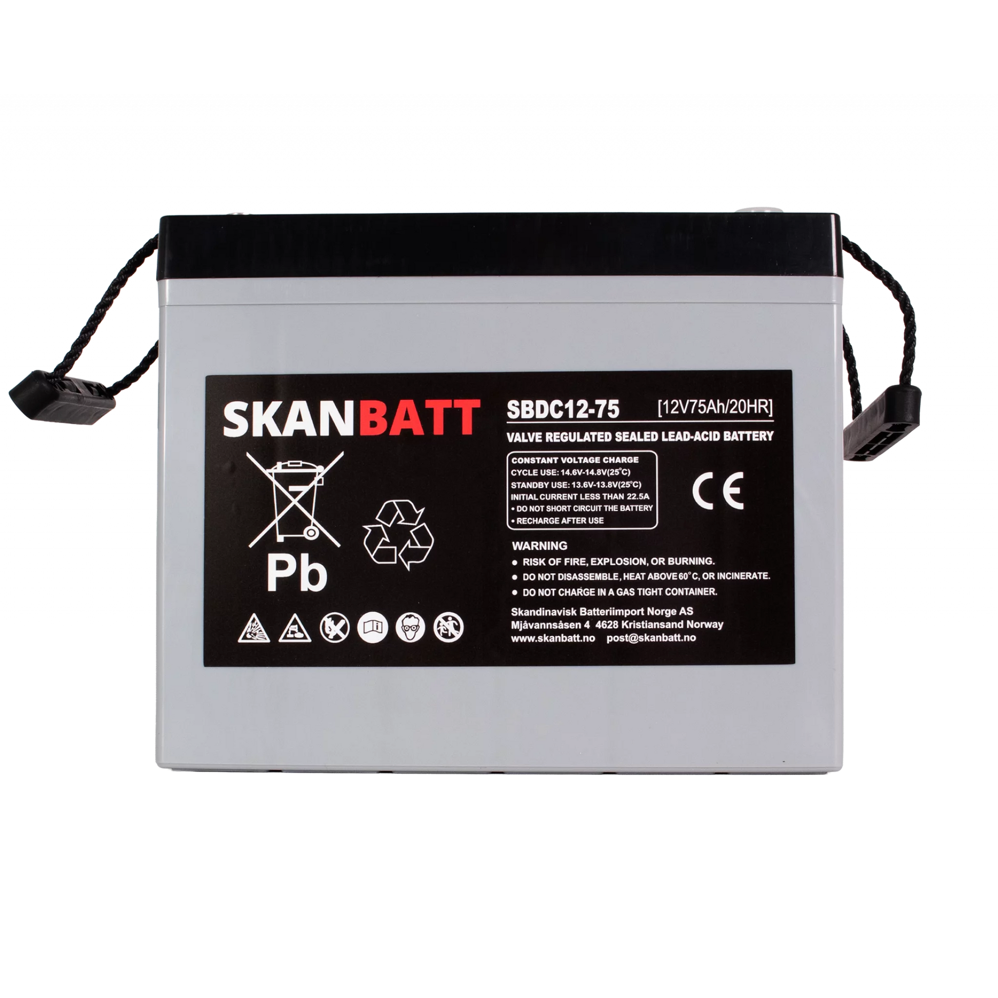 RITAR AGM Deep Cycle Batteri 12V 75AH C10 (259x169x210mm) +vänster