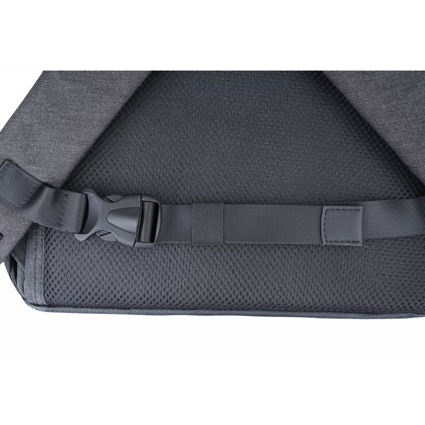 ECOFLOW River 2 Bag