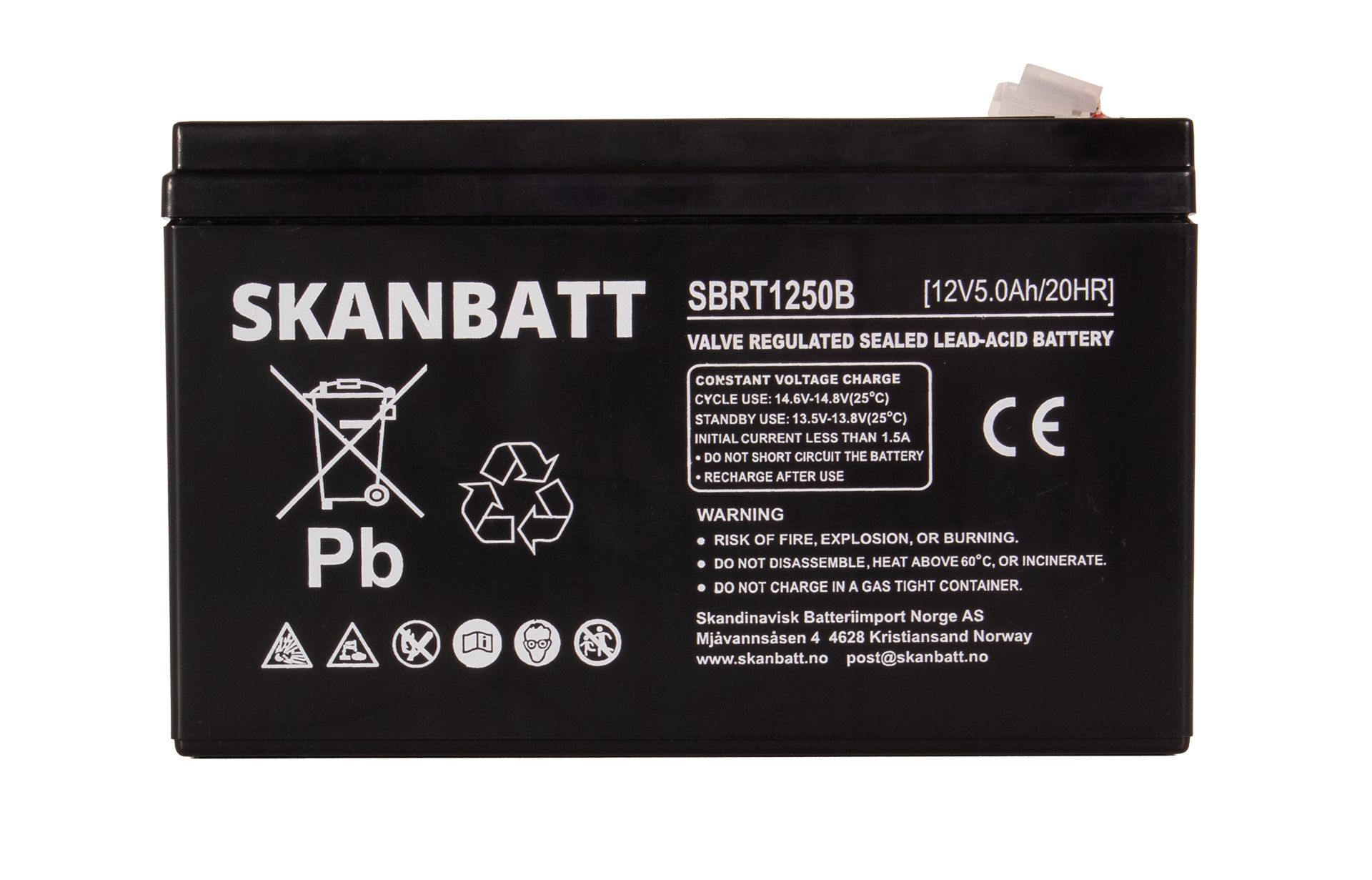 RITAR AGM Batteri 12V 5AH (150x50x100mm) (RT1250B)