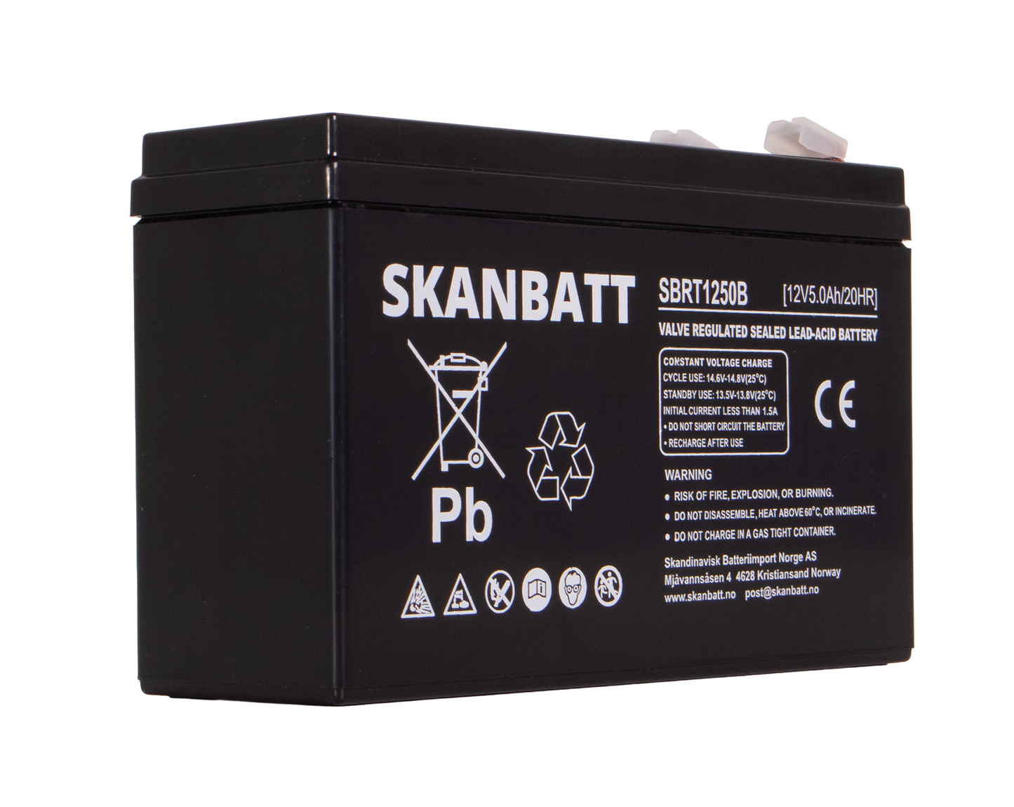 RITAR AGM Batteri 12V 5AH (150x50x100mm) (RT1250B)