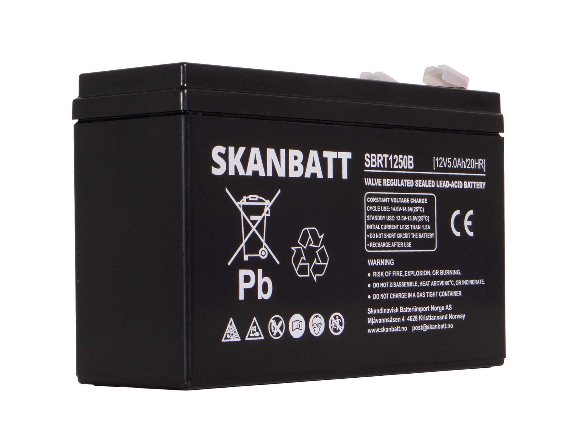 RITAR AGM Batteri 12V 5AH (150x50x100mm) (RT1250B)